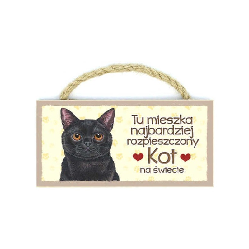 Magnesy z Twoim pupilem