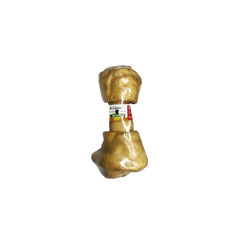 KOŚĆ WIĄZANA 12,7- 15,2 CM NATURALNA