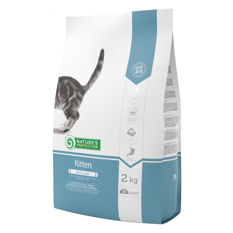 Nature’s Protection  Kitten