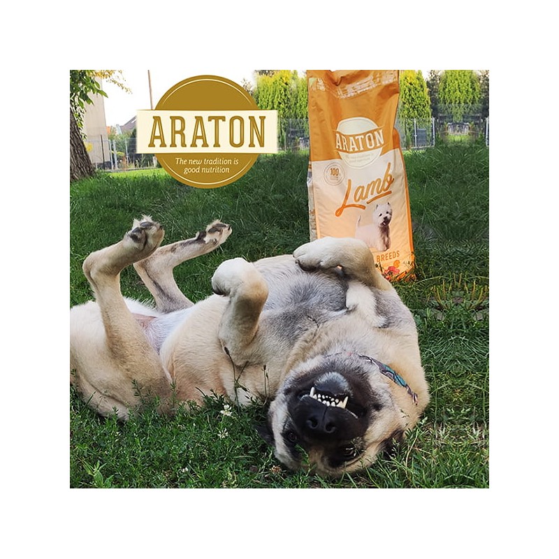 ARATON Dog Adult Lamb & Rice