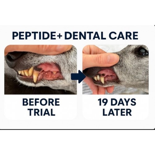 DENTAL- FORMUŁA DENTYSTYCZNA ZDROWIE JAMY USTNEJ KARMA SUCHA DLA PSÓW 1,5KG