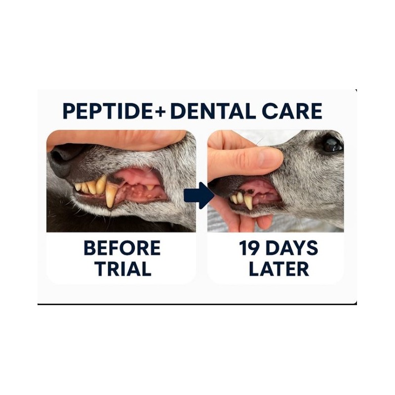 DENTAL- FORMUŁA DENTYSTYCZNA ZDROWIE JAMY USTNEJ KARMA SUCHA DLA PSÓW 1,5KG