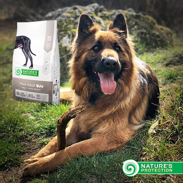 Nature`s Protection- Maxi Adult